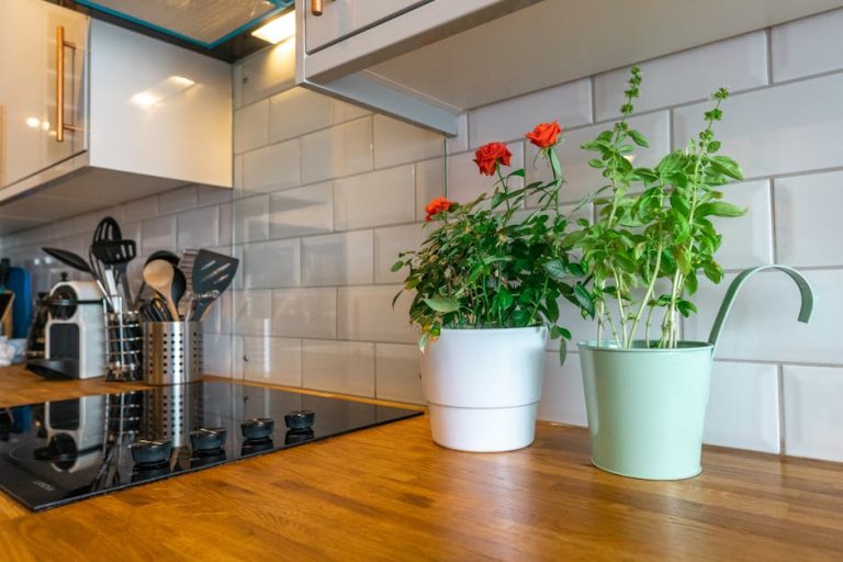 Unveiling the Magic of Kitchen Appliances: From Mundane to Marvelous